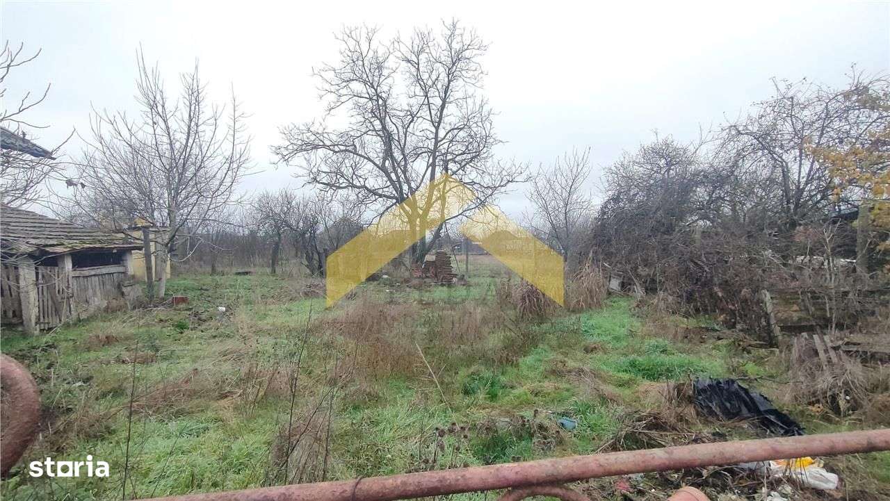 Casa cu teren 1757 mp in Sambateni de vanzare-3