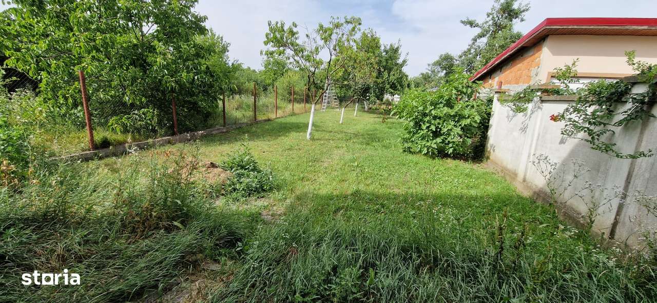 Casa Sannicolau Mic-17