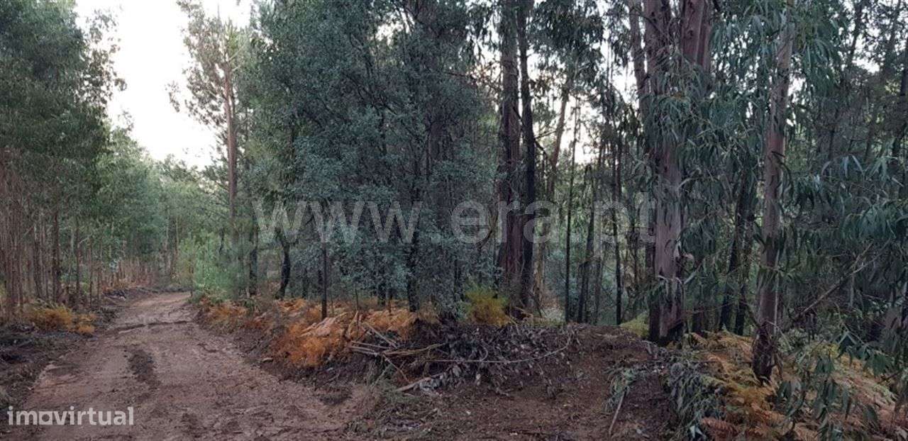 Terreno - Grande imagem: 3/8