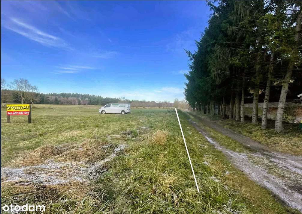 Działka  na sprzedaż Zabielne ! Zaproponuj Swoją Cenę !-4