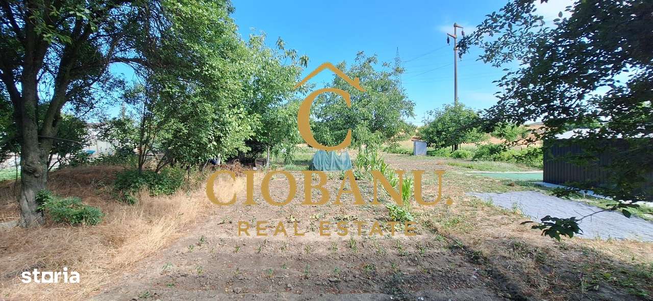 Teren intravilan de vanzare in Isalnita-5