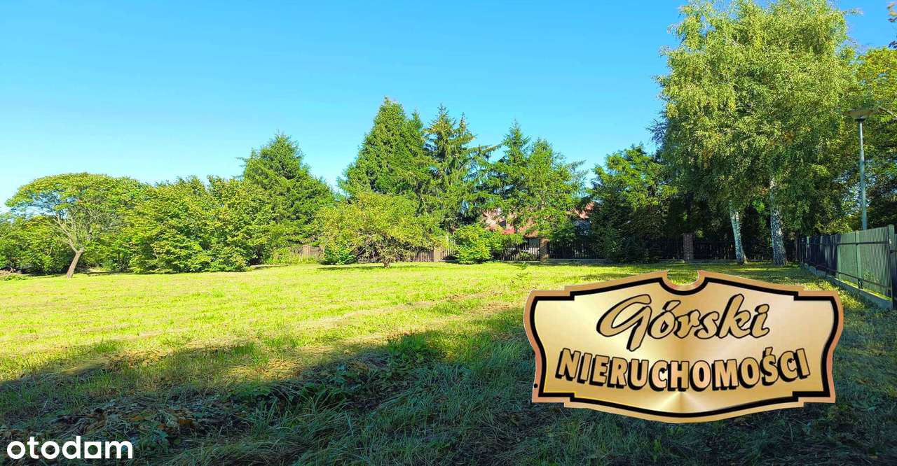 Działki Zamość Krucza Leśna - Pełny obrazek: 1/17