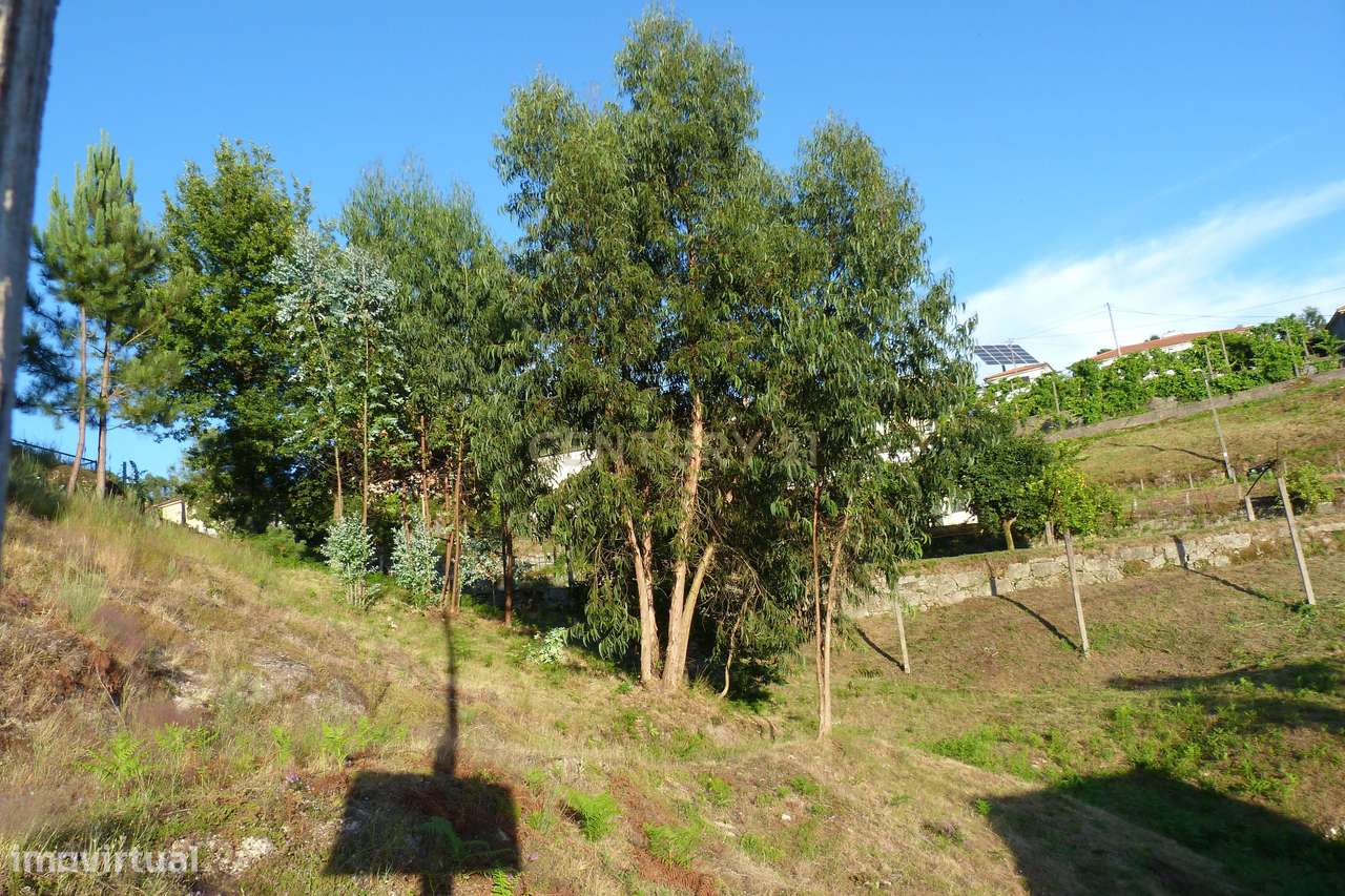Terreno construção Póvoa de Lanhoso - Grande imagem: 4/18