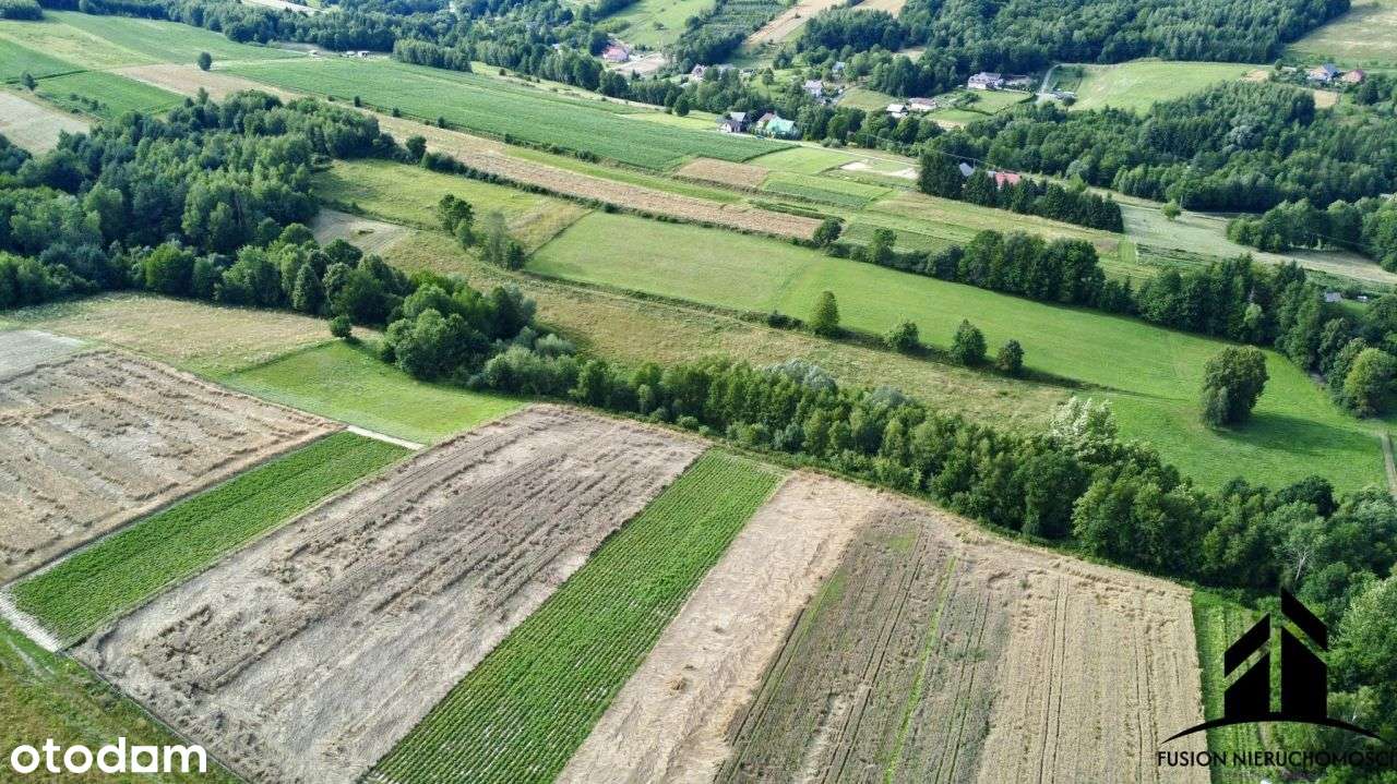 Urokliwa działka z potencjałem | 7842 m² | Łubno,-0