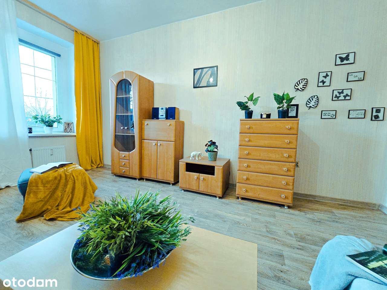 Katowice Śródmieście, 1 piętro, 64 m² w kamienicy, bez prowizji-15