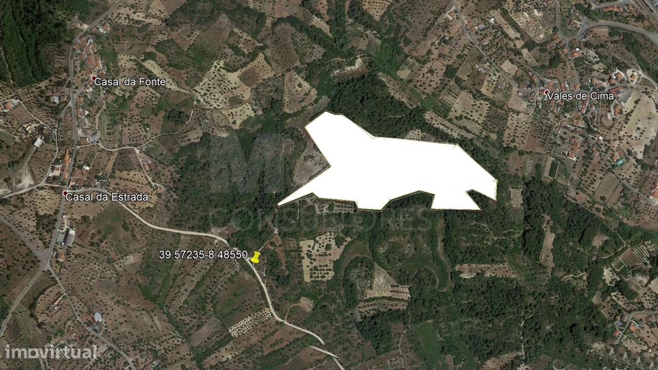 Terreno Rústico arborizado zona de POUSOS - Grande imagem: 5/5