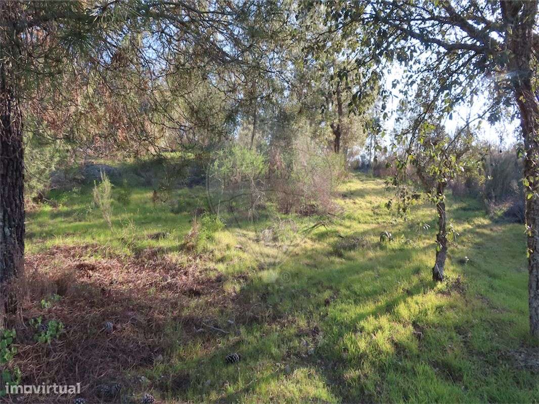 Quinta T0 para venda - Grande imagem: 5/31
