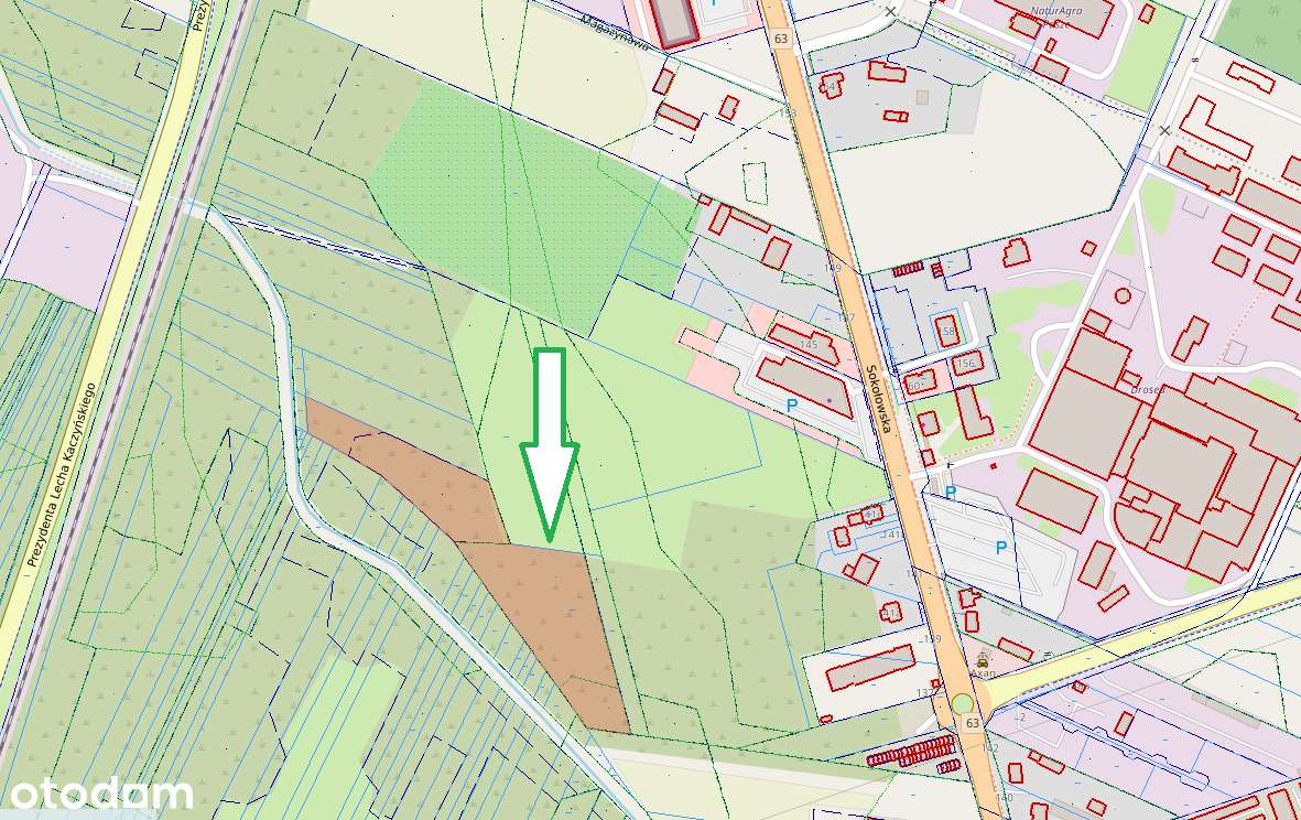 Działka inwestycyjna w Siedlcach – ponad 1,2ha w jednym kawałku! - Pełny obrazek: 2/4