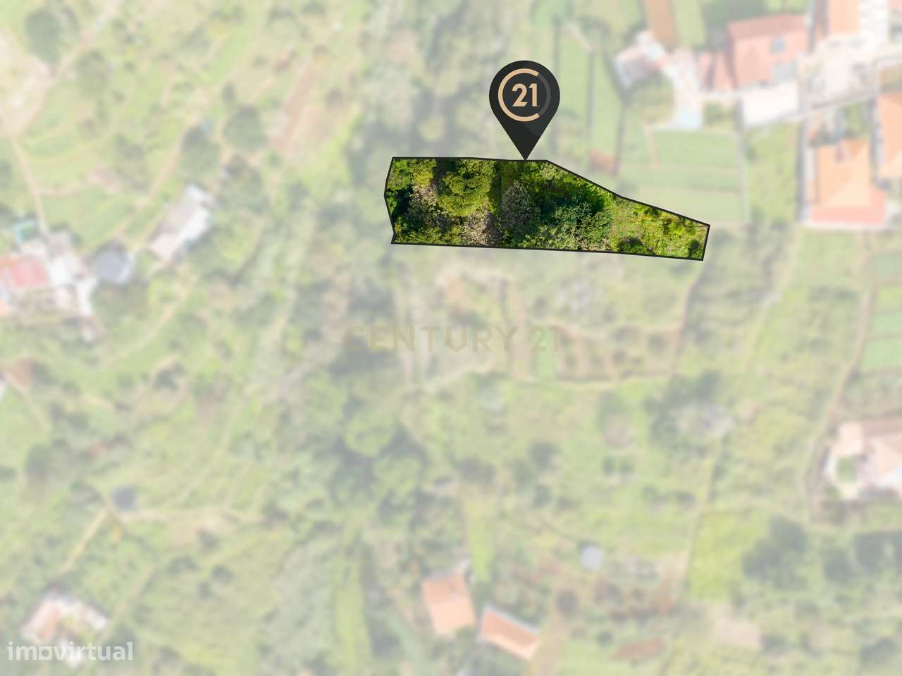 Terreno Rústico Agroflorestal de 900 m2 - Santa Cruz, Madeira - Grande imagem: 2/15