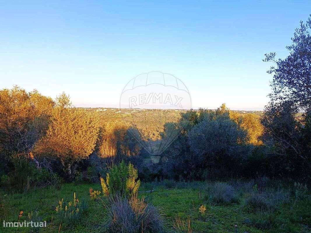 Terreno  para venda - Grande imagem: 3/3