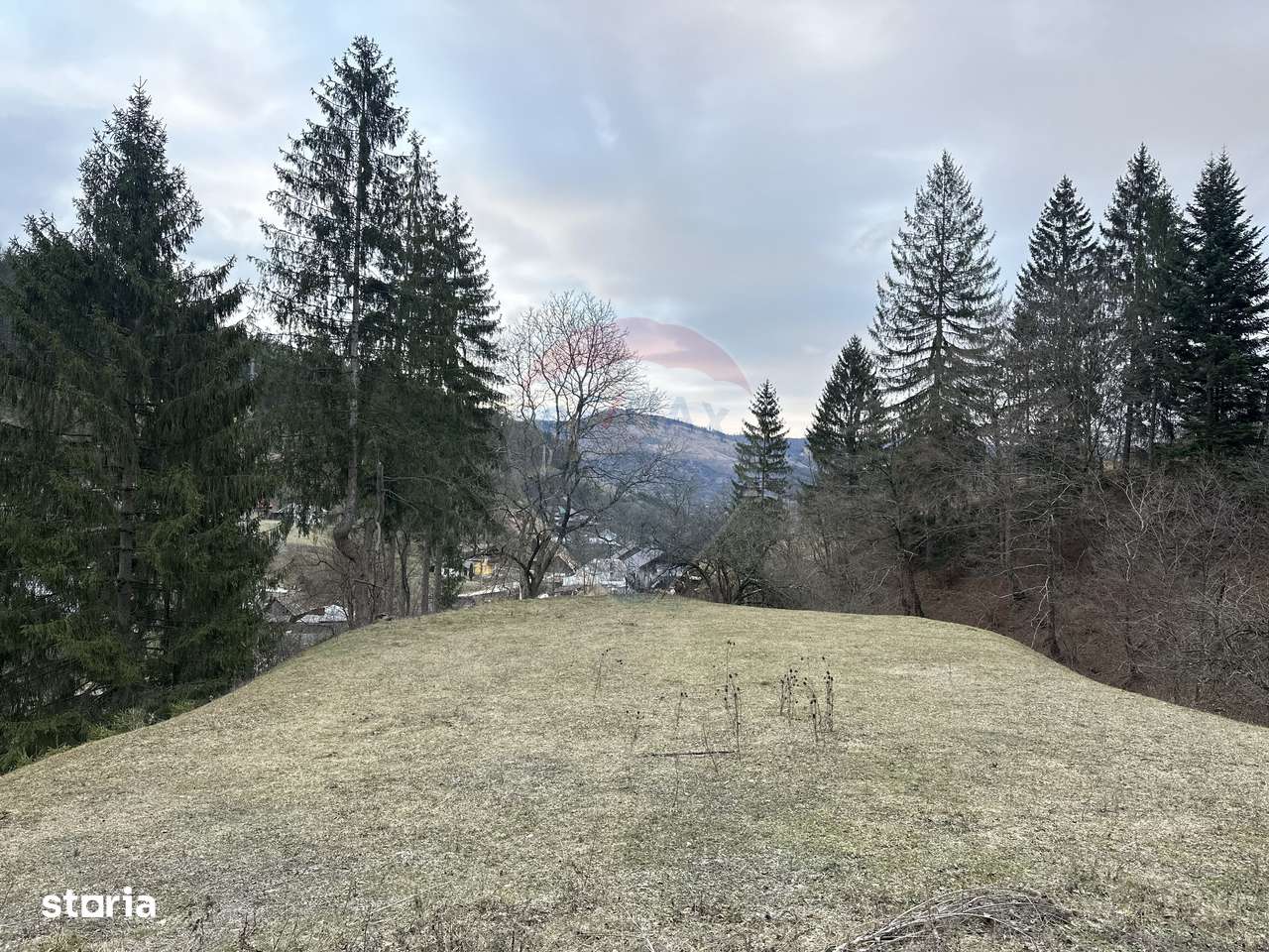Teren 2,000mp Stejaru (Pangarati) / None - Imagine principală: 1/7
