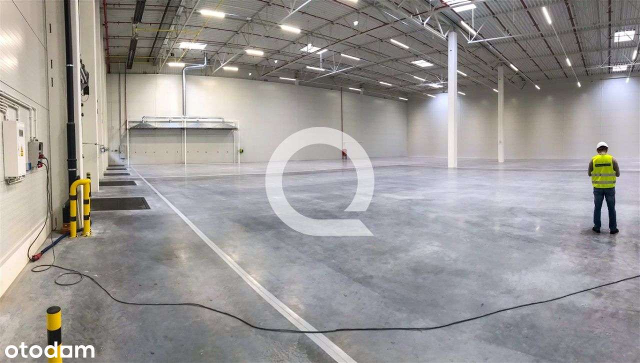 Hala/Magazyn, 2 025 m², Bydgoszcz - Pełny obrazek: 4/9