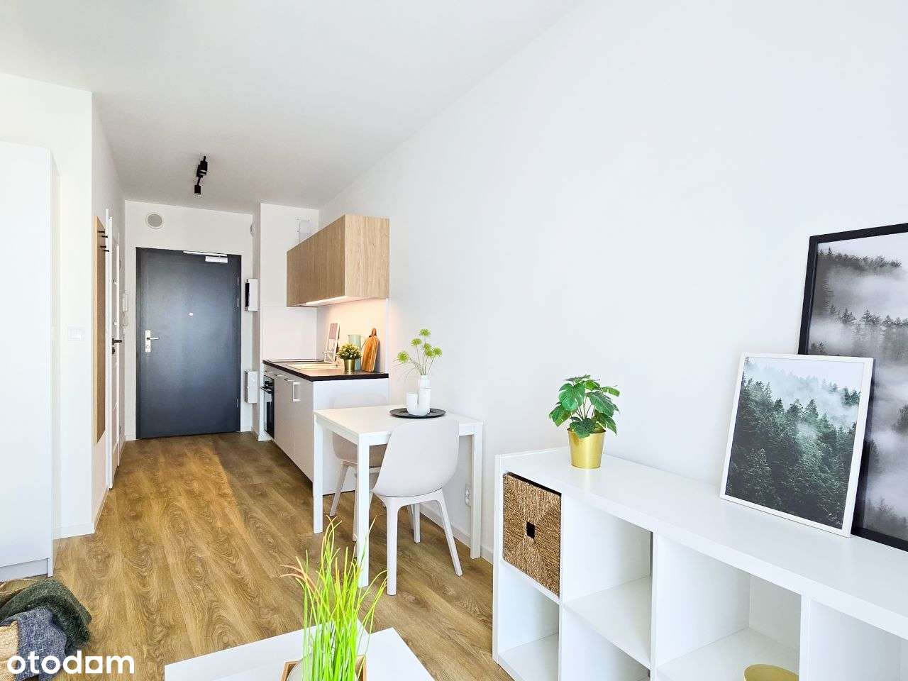 Nowe, komfortowe studio bez prowizji zwierzęta akceptowane - Pełny obrazek: 4/13