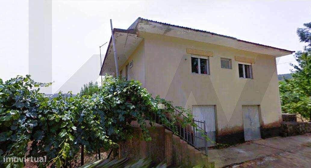 Oportunidade Jovem Agricultor - Quinta com Moradia T3, cerca de 4 hect - Grande imagem: 4/40