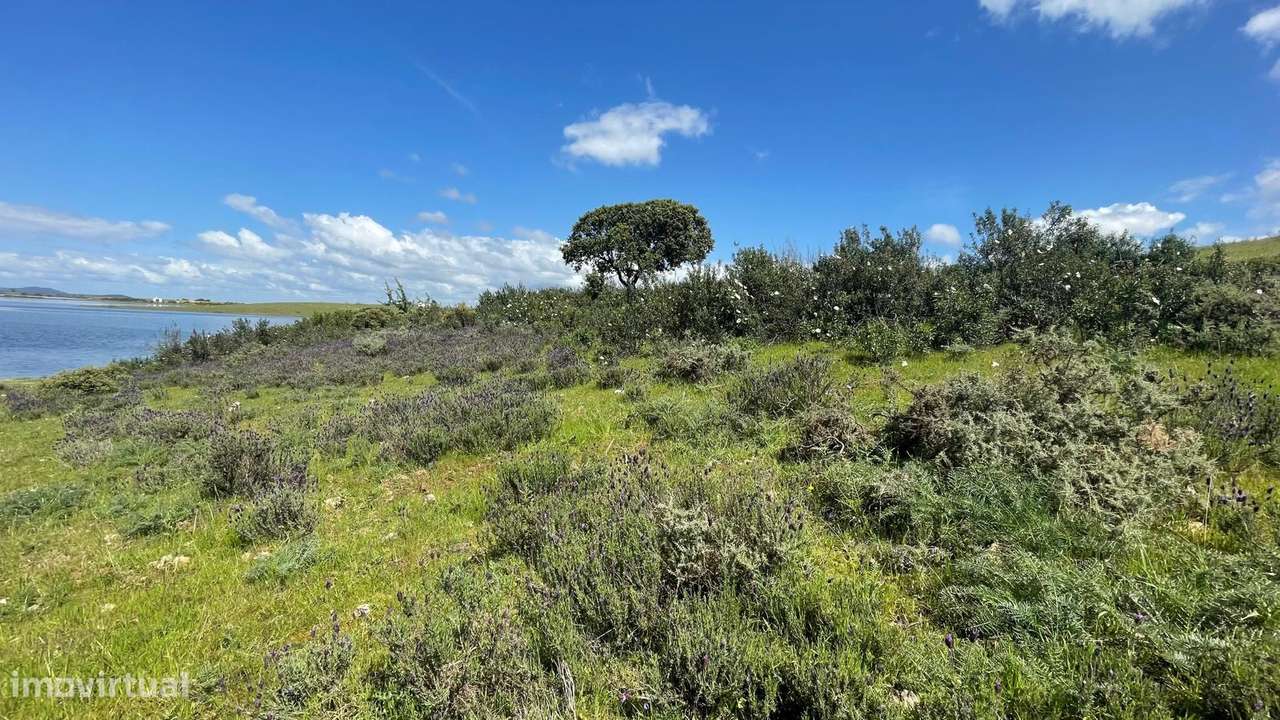 Terreno na Margem Alqueva-14