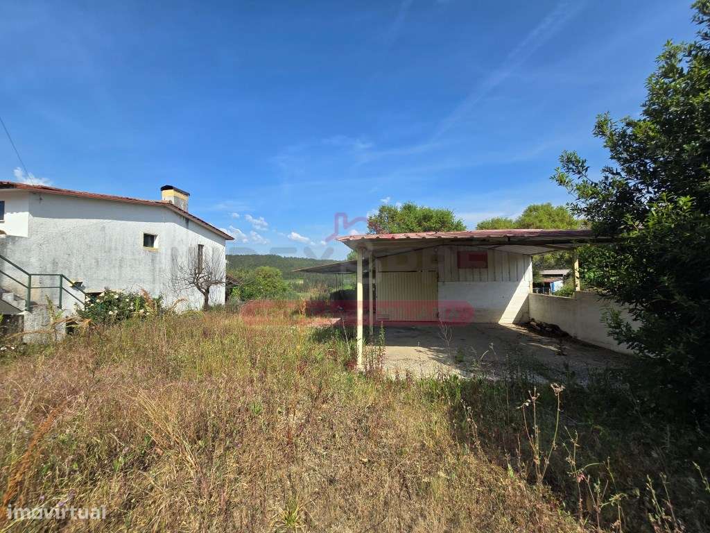 Moradia T4 C/ Logradouro - Anadia-24