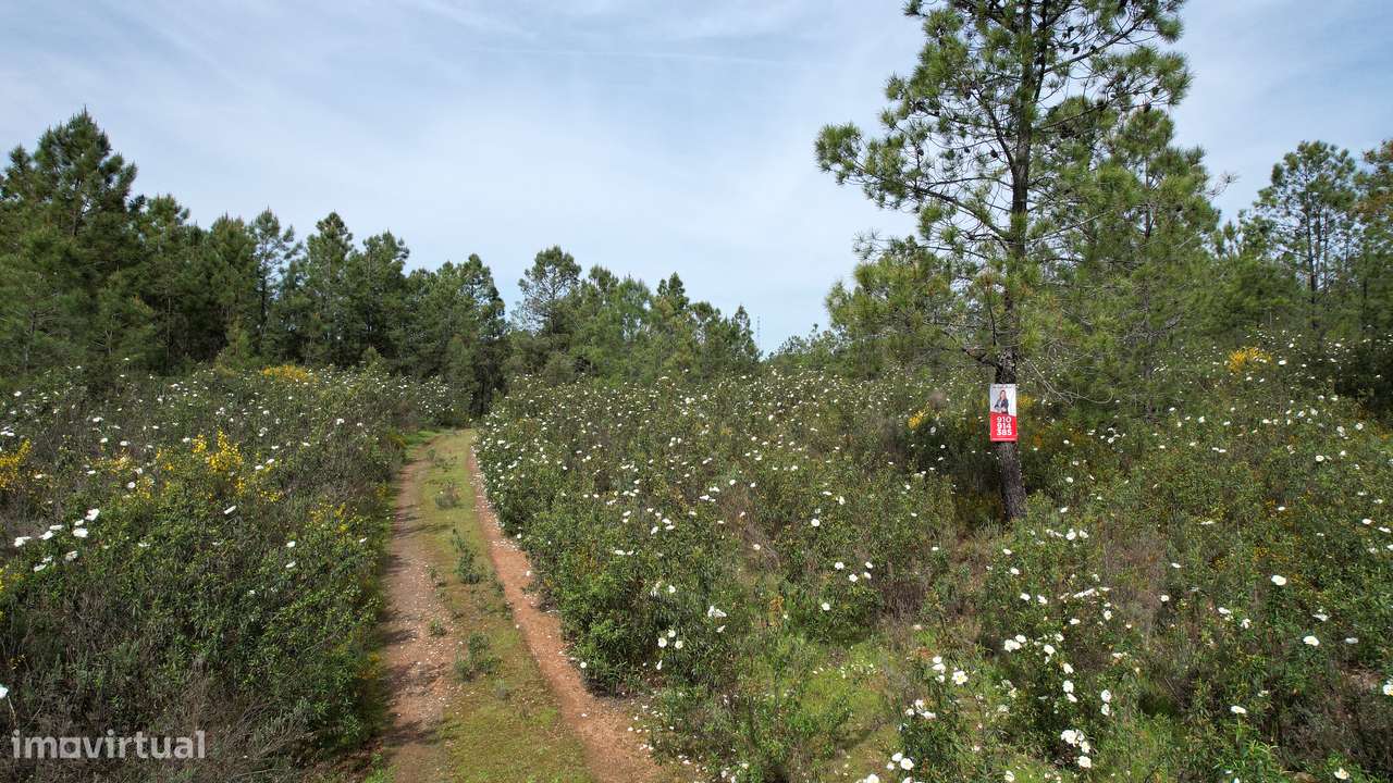 Terreno - Grande imagem: 3/6