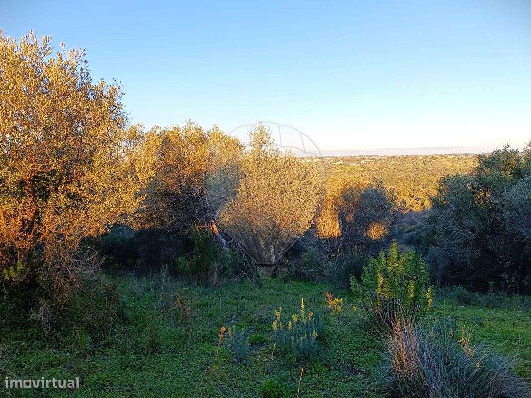 Terreno  para venda - Grande imagem: 3/3