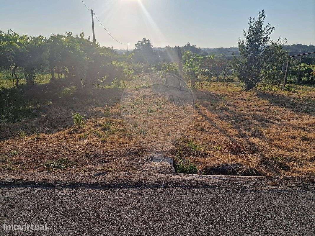 Terreno  para venda-1