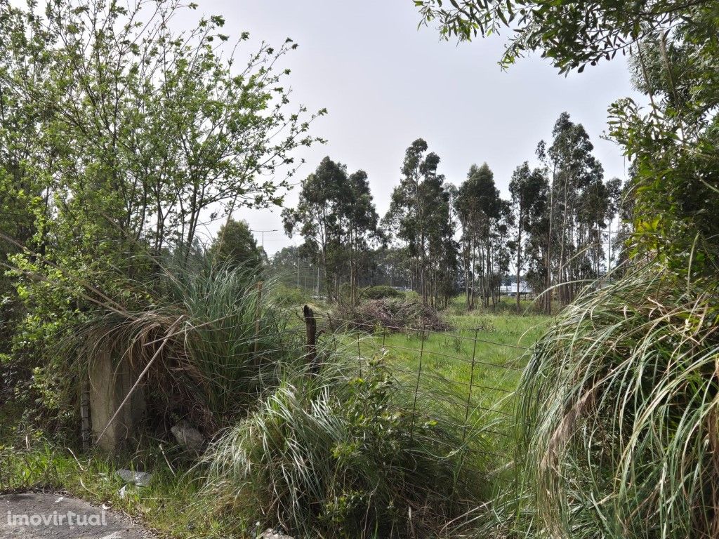 Terreno situado junto à N13