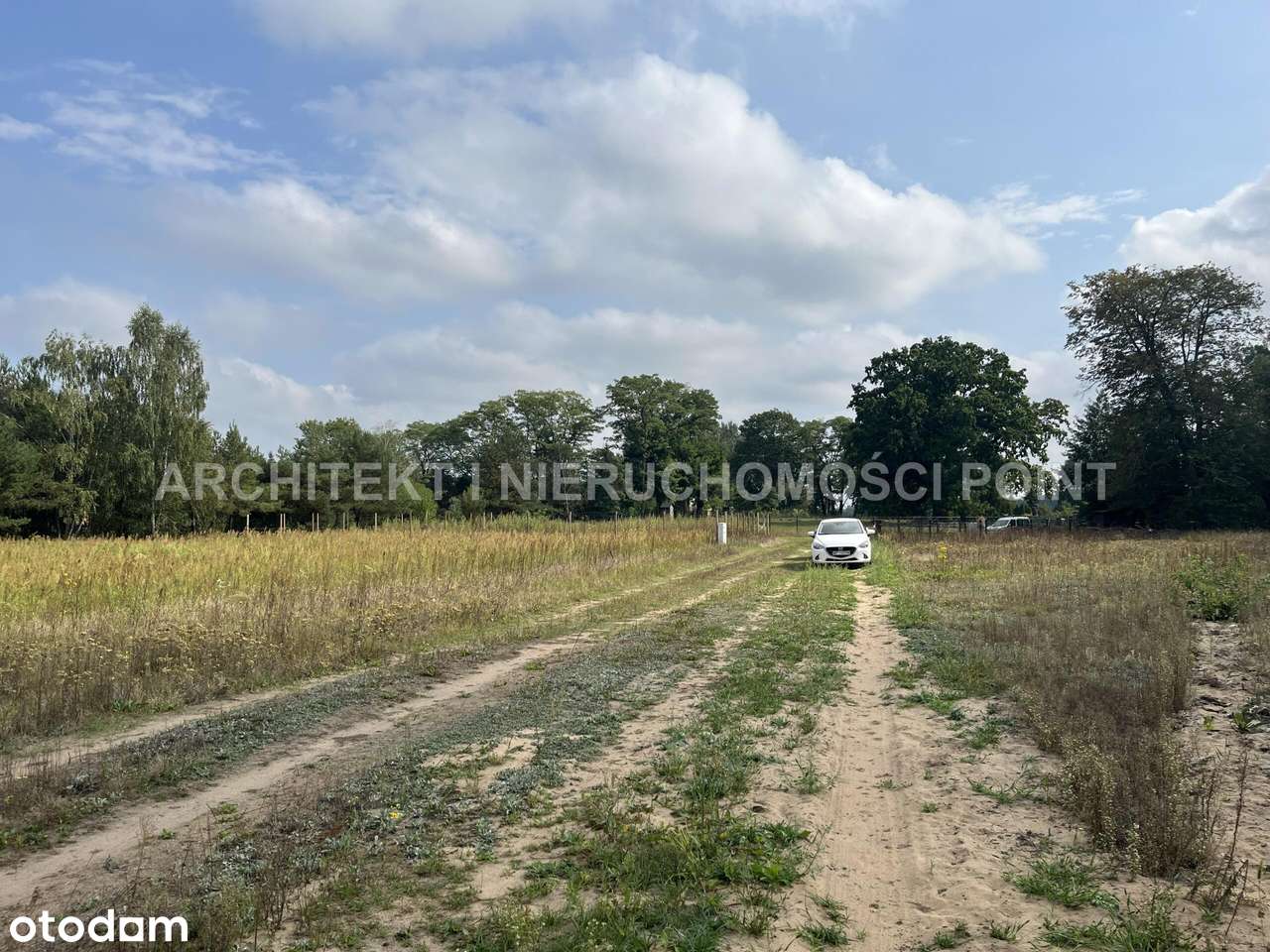 Działka letniskowa Młynarze,  Bug i Fiszor-12