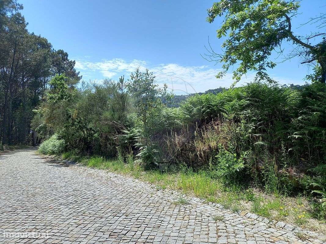 Terreno  para venda - Grande imagem: 4/7