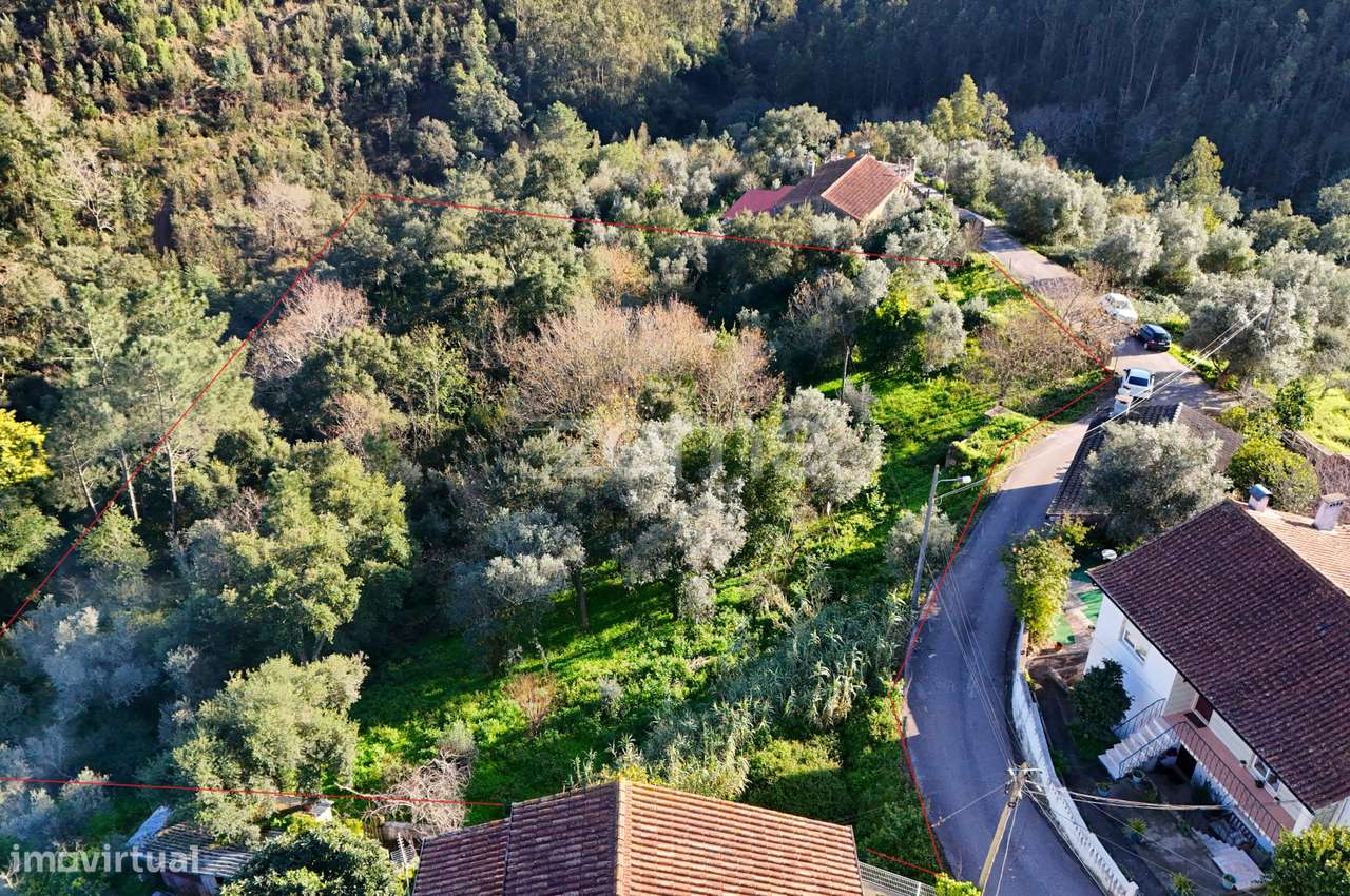 Terreno | Chão do Bispo | 4990 m2 - Grande imagem: 3/8