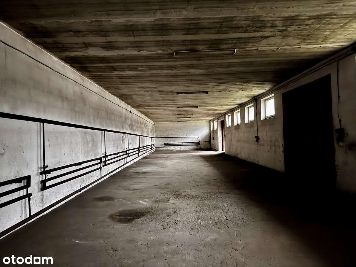 Hala/Magazyn, 320 m², Kłomnice-5