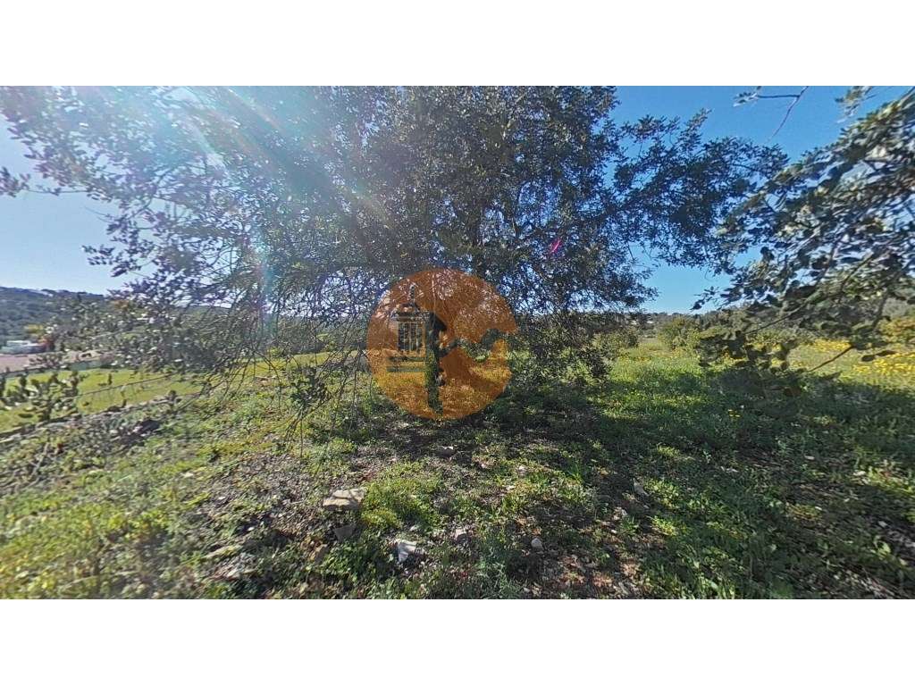 Terreno Rústico - Grande imagem: 3/25