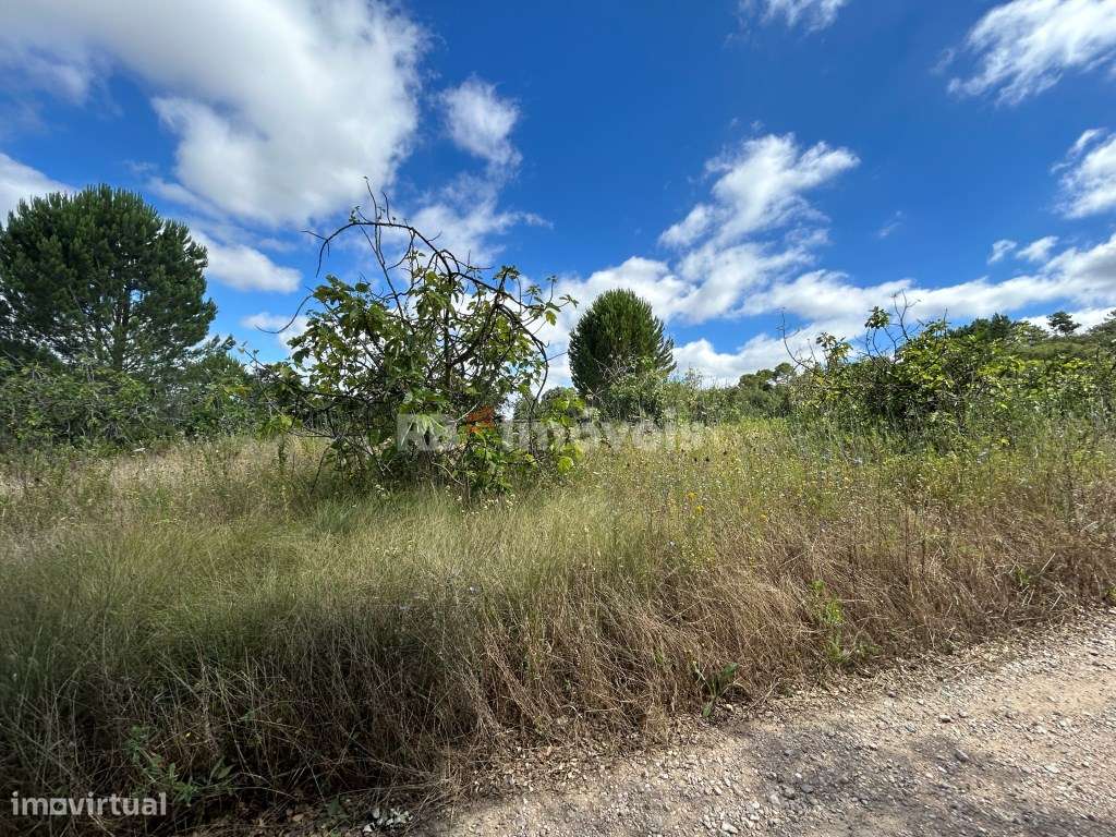 Terreno rústico com 7120m2 - Corujo, Tomar - Grande imagem: 2/43