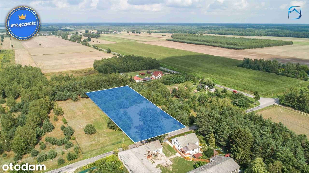 Dratów Kolonia - Atrakcyjny grunt inwestycyjny - Pełny obrazek: 5/5