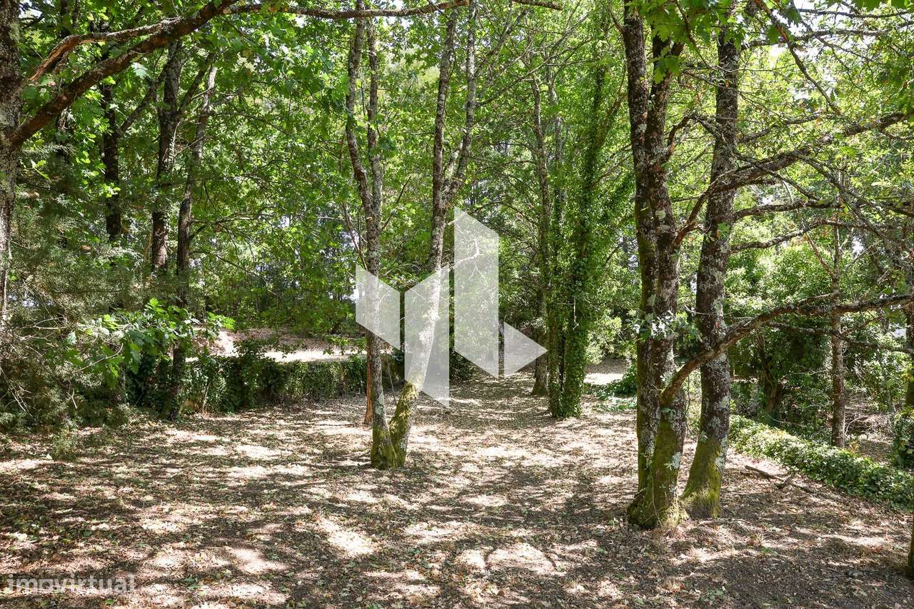 Quinta T6+3 Venda em Castelões,Tondela-31