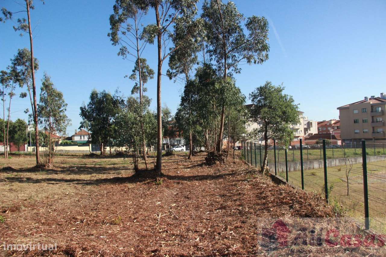 Excelente Terreno P/Construção em Altura-19
