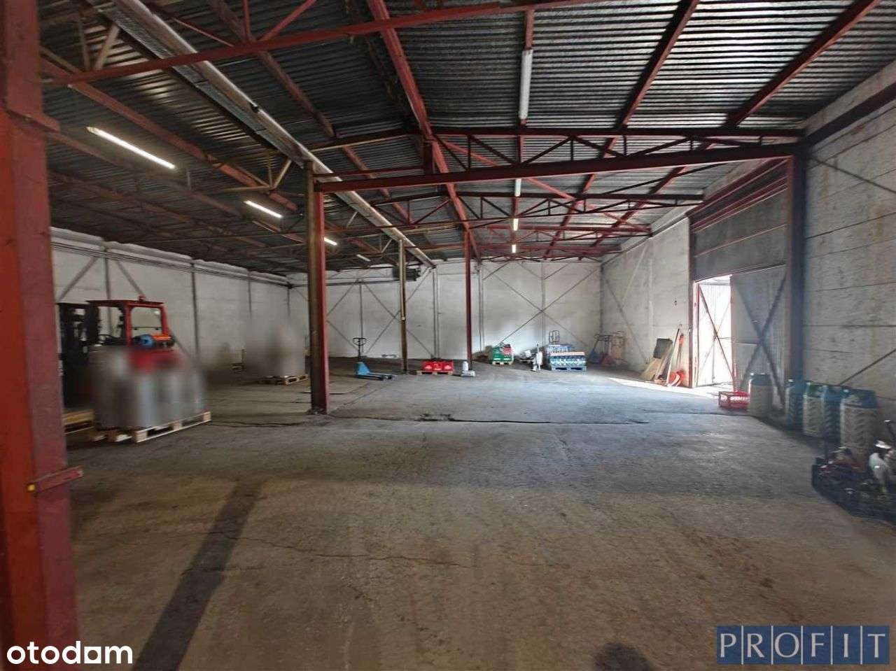 działka 5433m2 hale o pow. ok. 1500m2 - Pełny obrazek: 4/11