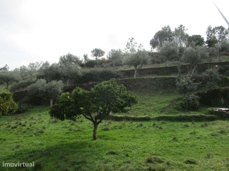 Quintinha - Grande imagem: 5/14