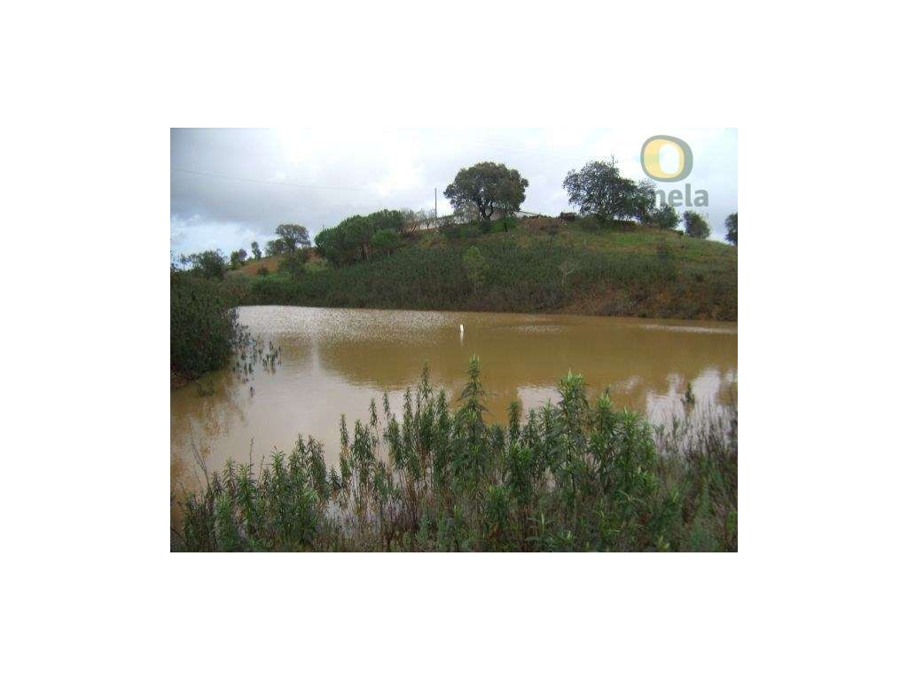 Terreno Misto com viabilidade para turismo rural - Grande imagem: 3/10