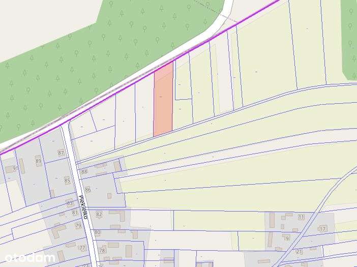 Działka budowlana 2993 m2 w sąsiedztwie lasu - Pełny obrazek: 4/6