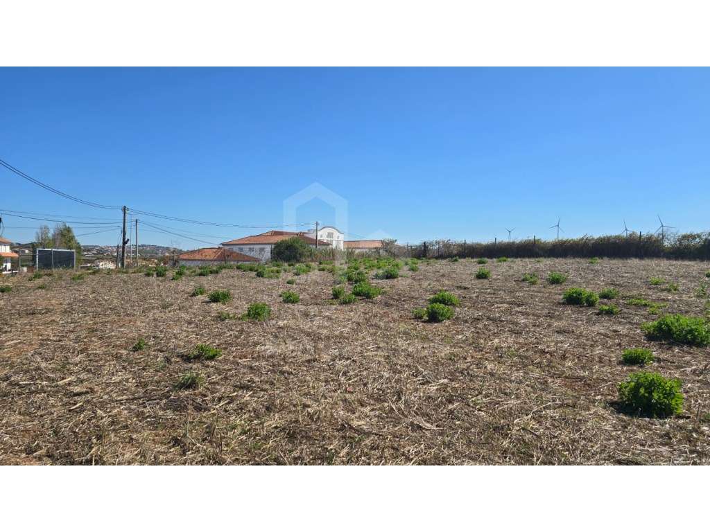 Vende Terreno - Ericeira 20 Km, A Casa das Casas - Grande imagem: 5/7