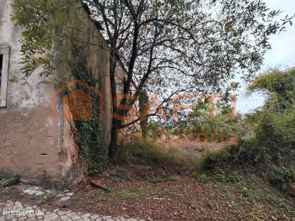 CASINHA DE CAMPO COM 116 MT2 PARA RECONSTRUIR, COM 5000MT2 DE TERRE... - Grande imagem: 5/36