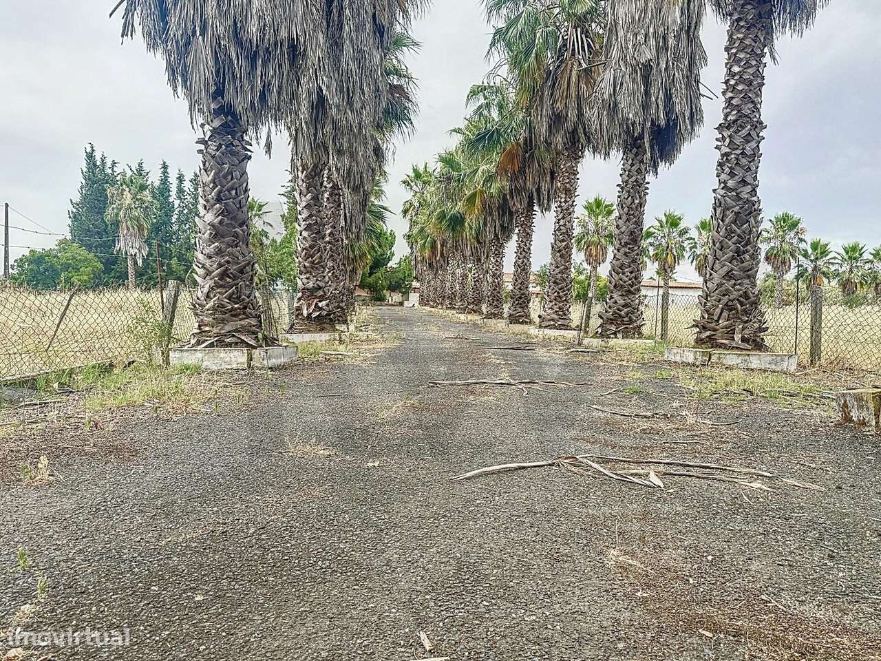 Quinta privada T4, com piscina, em Vila de Frades, Vidigueira - Grande imagem: 5/60