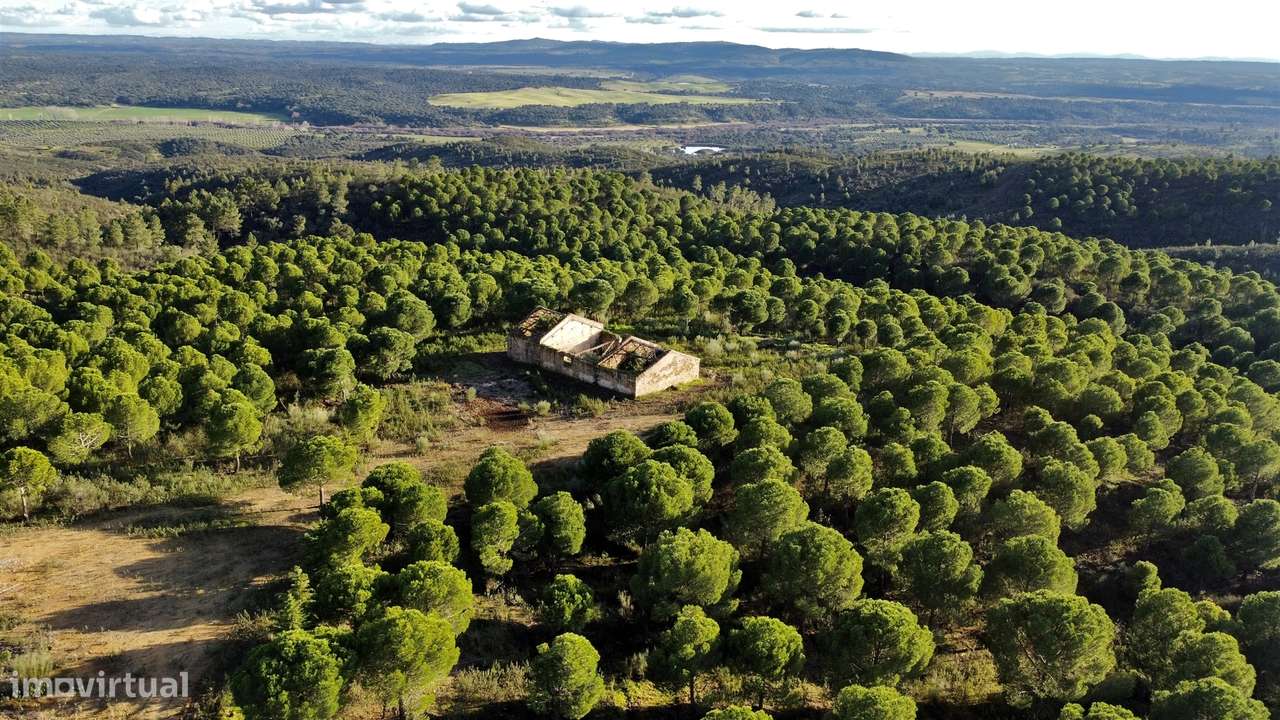 Herdade T5 Venda em Escalos de Baixo e Mata,Castelo Branco - Grande imagem: 3/31