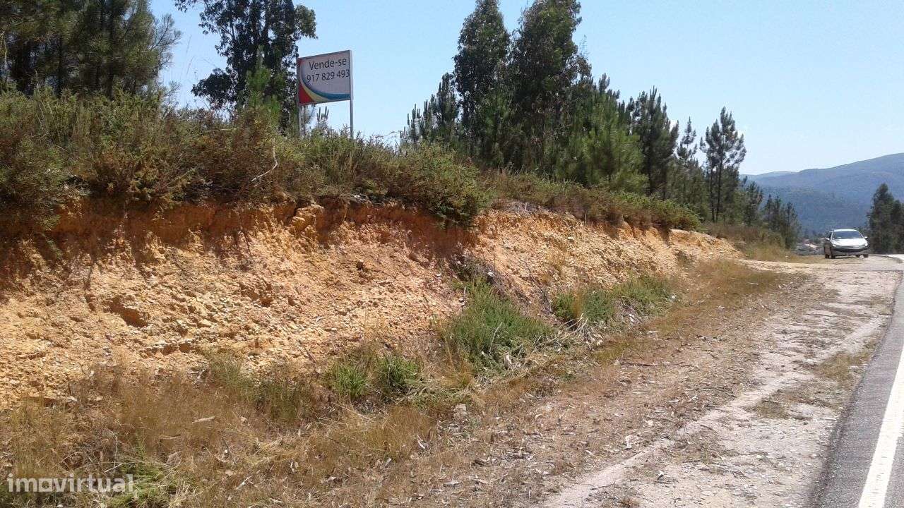 Grande Propriedade Arganil - Bairro da Gândara com 70mt frente estrada - Grande imagem: 5/55