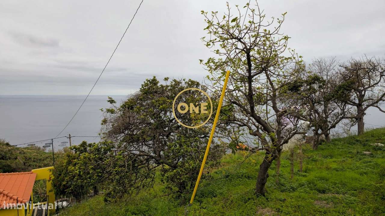 Terreno com 1231 m2 - Grande imagem: 5/41