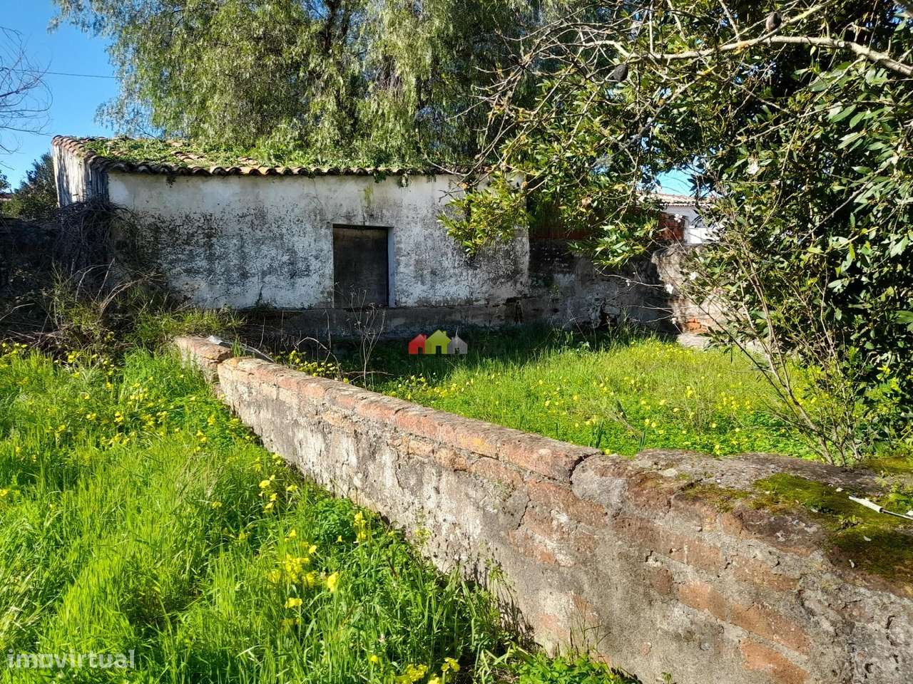 Qta Pedrogão com viabilidade de construção habitação-6
