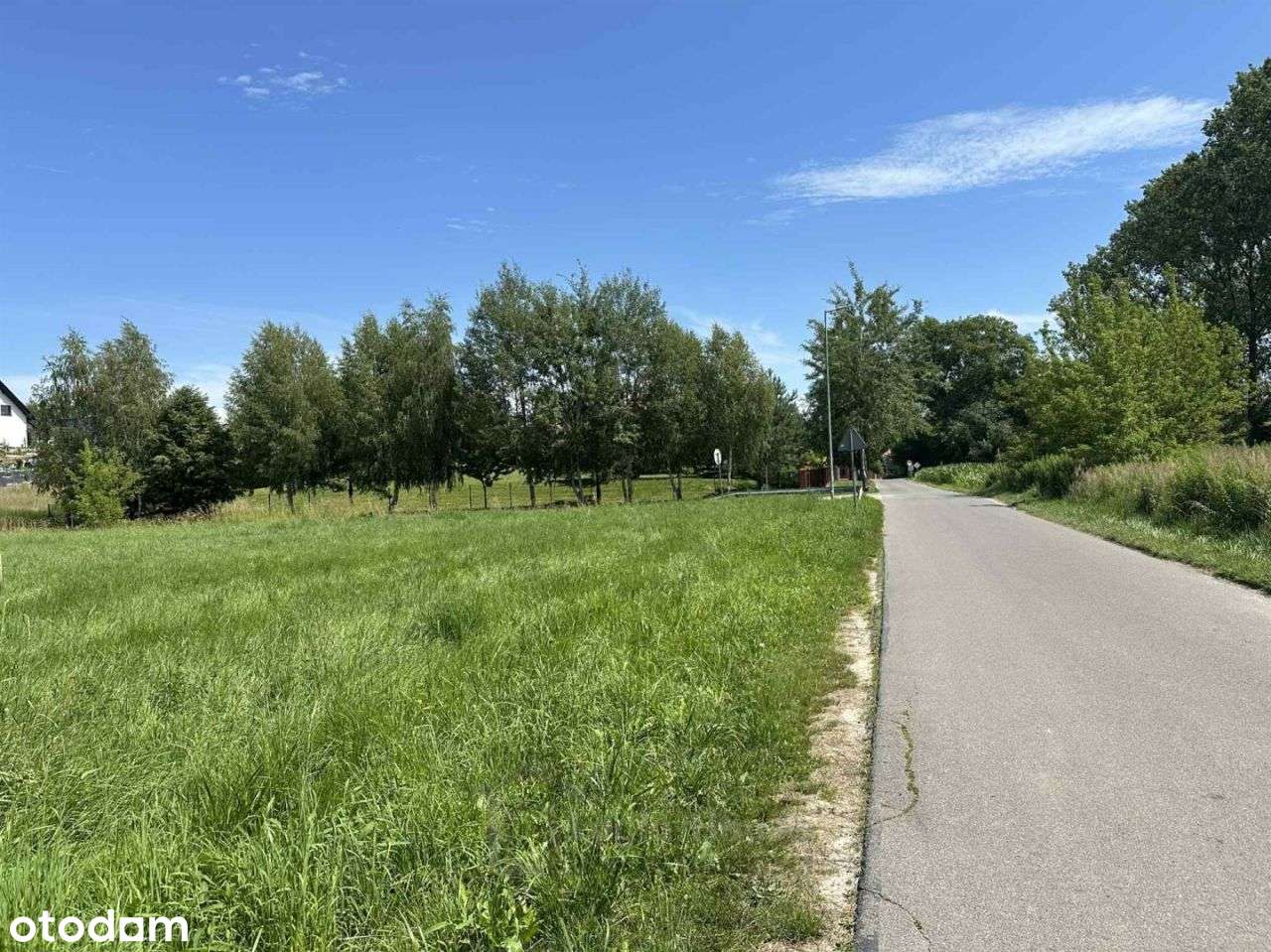 Działka, 1 738 m², Dąbrowica - Pełny obrazek: 4/7