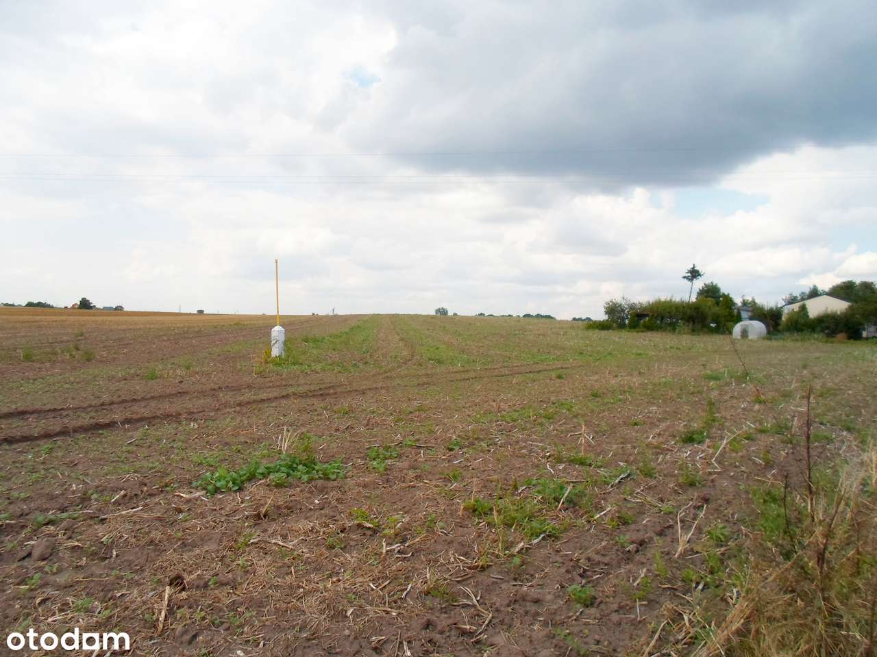 Działkę budowlaną sprzedam - Pełny obrazek: 5/5