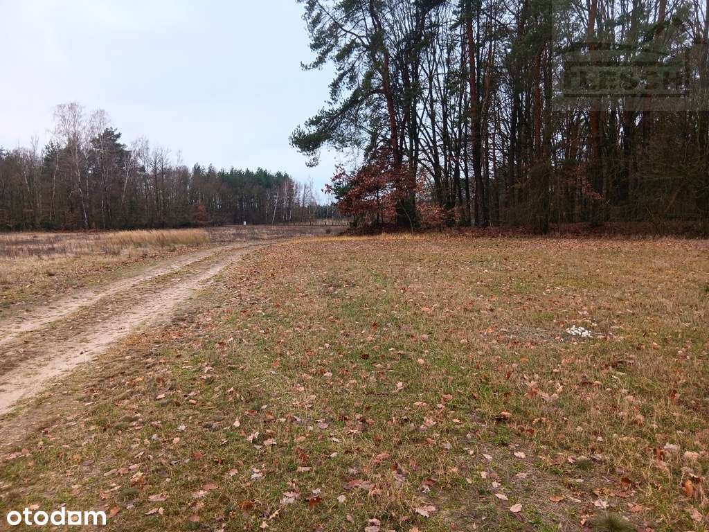 Bardzo ładna działka 12ha  Podlindowo Gm Mszczonów-4