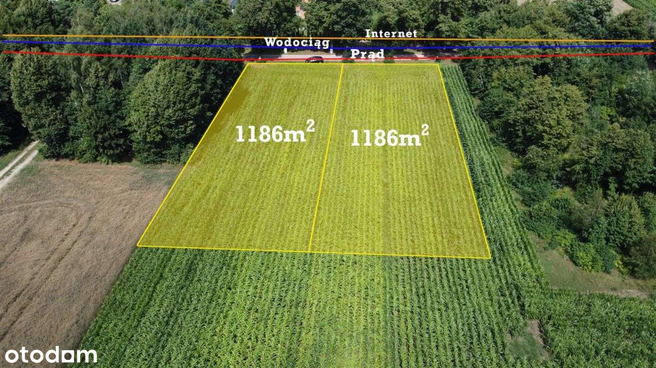 Działka budowlana w pobliżu Wkry - Pełny obrazek: 4/5