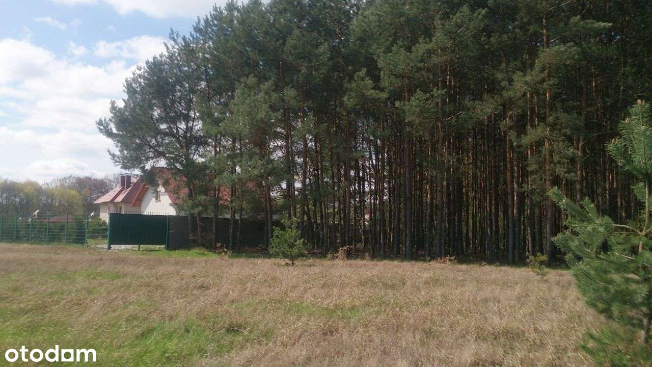 Sprzedam Działki Budowlane Lubsko - Chełm Żarski - Pełny obrazek: 4/5