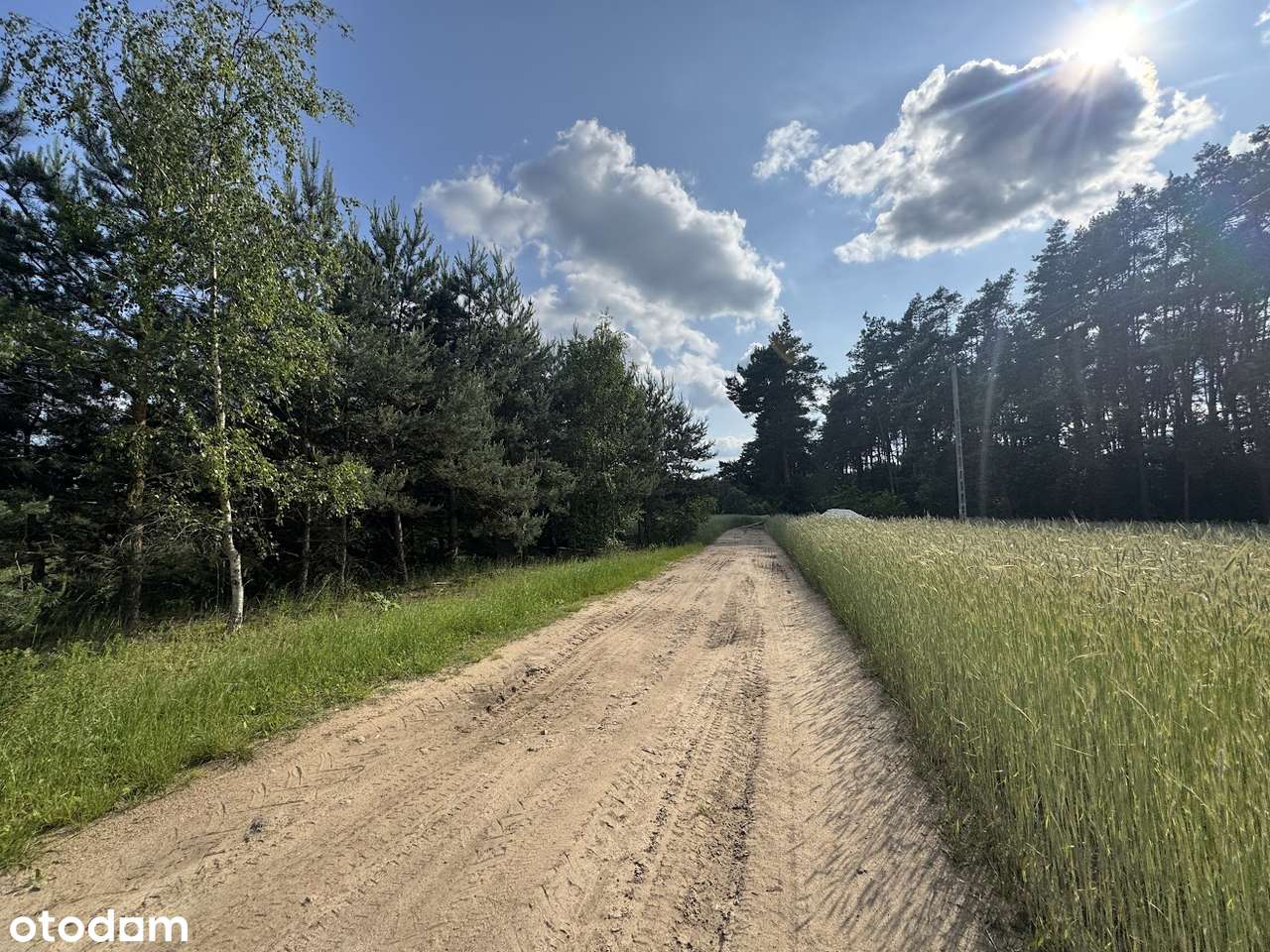 działka siedliskowa pod budowę domu i budynku - Pełny obrazek: 4/8